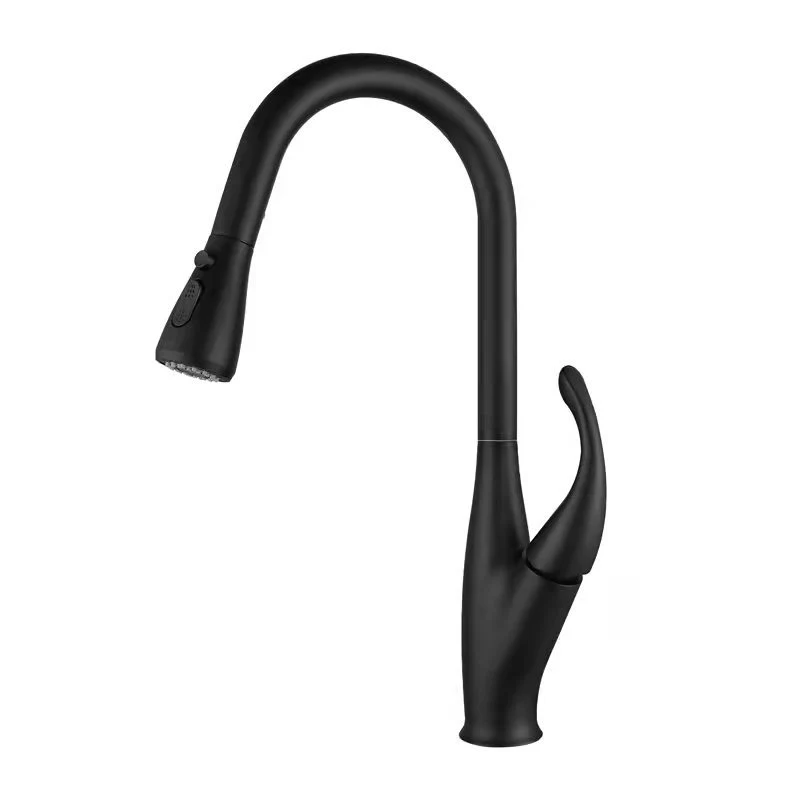 Halden - Deck Mounted Victorian Style Kitchen Faucet with Pull-Out Spout - Image 14